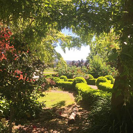 Maria Rennie GALLERY & GARDEN | Marian Rennie