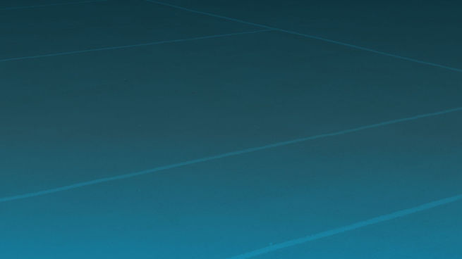 Stan - FR - One Last Backhand.jpg