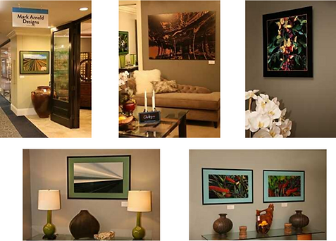 Les Mayers' art was exhibite in the Mark Arnold Design showroom in the LA MART