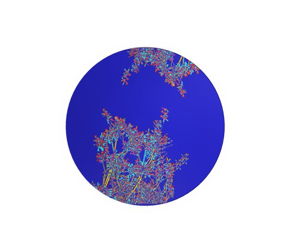 SERVWARE - BONE CHINA SERVING BOWL