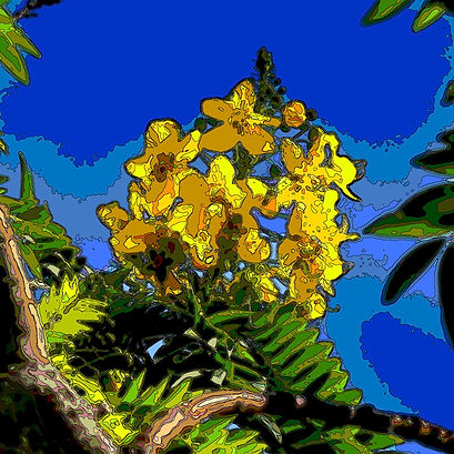 IMG_0913A3 FINAL.jpg