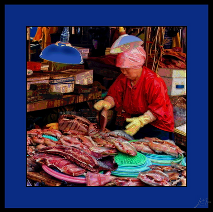 FISH MARKET IN SOUTH KOREA 02