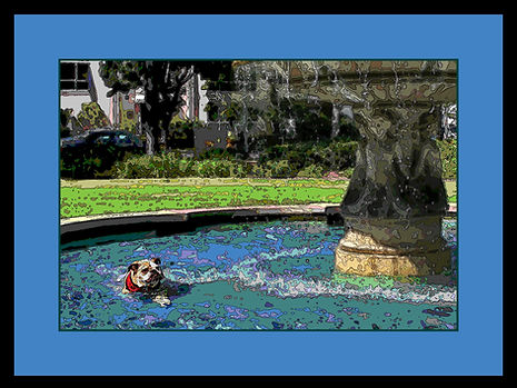 PUP IN A POND - BEVERLY HILLS, CA