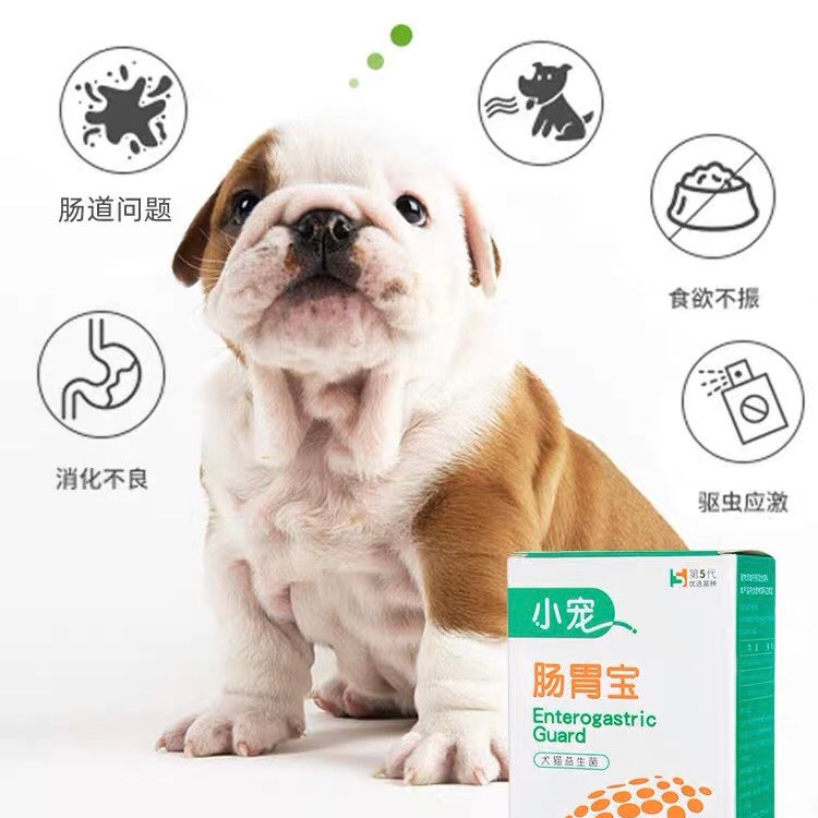 Thumbnail: 宠物健康｜小宠犬猫通用益生菌