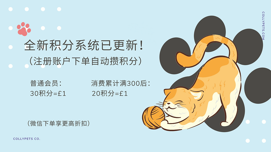 截屏2024-11-19 17.34.37.png