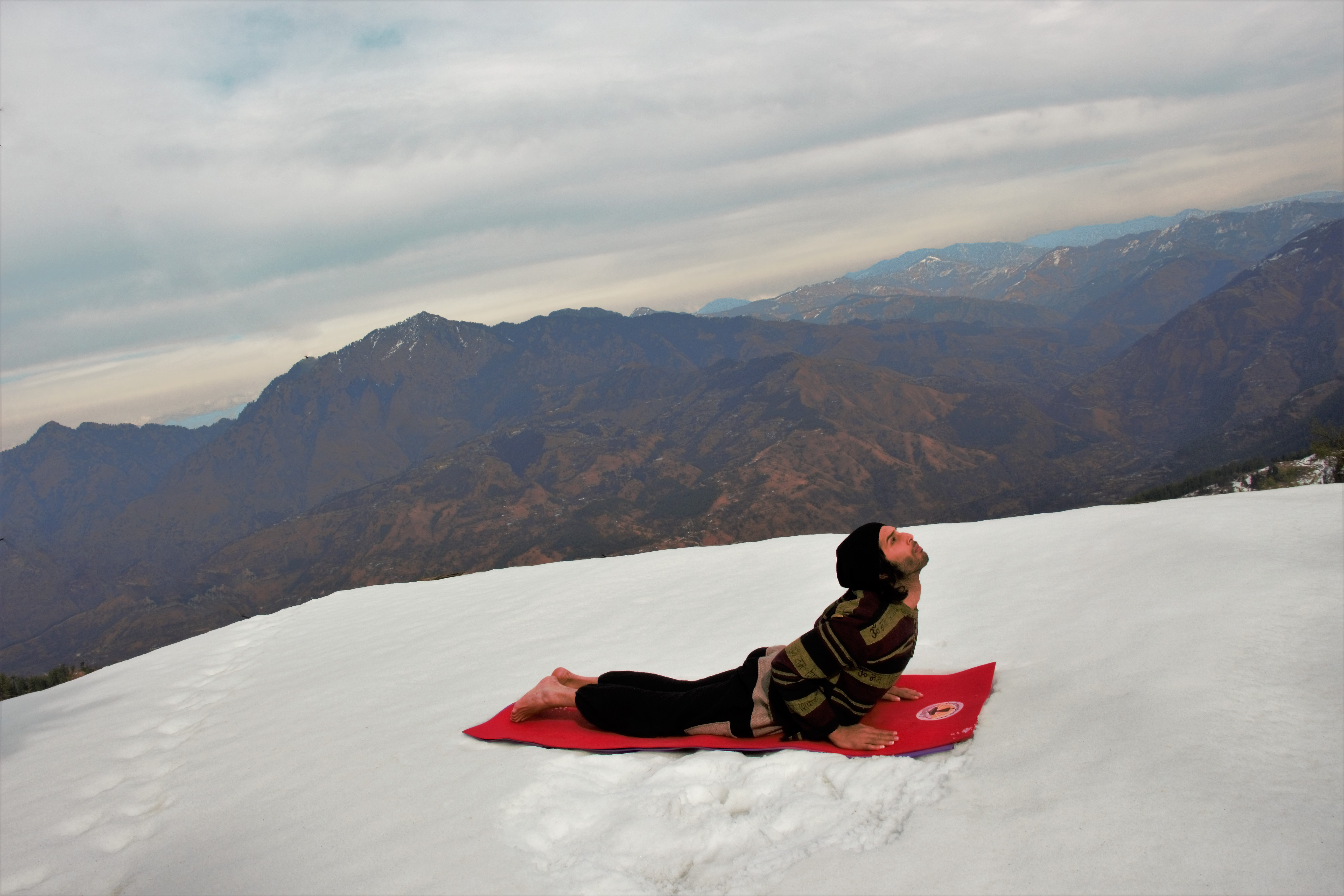 Bhujangasana | Cobra Pose