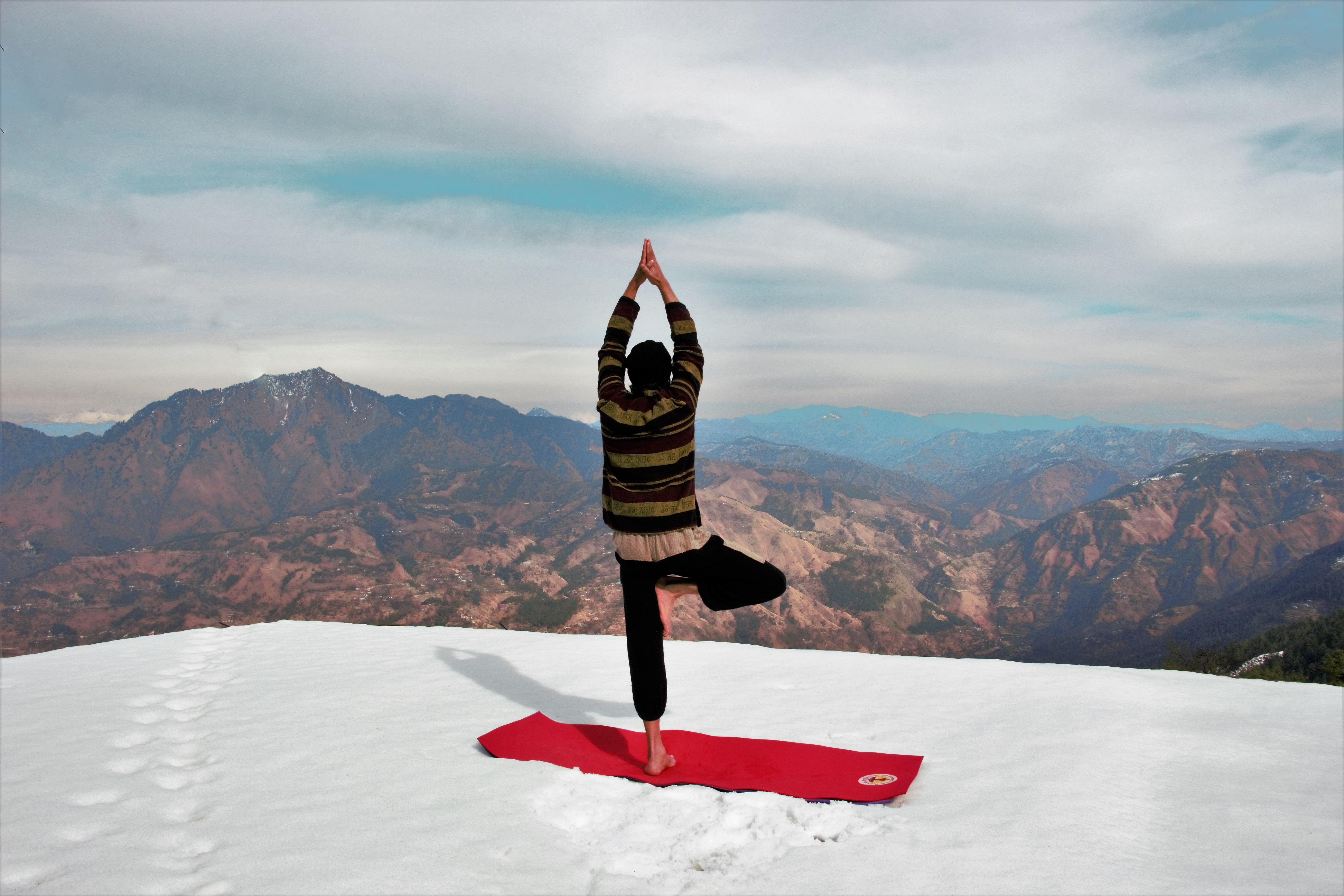 Vrikshasana | Tree Pose