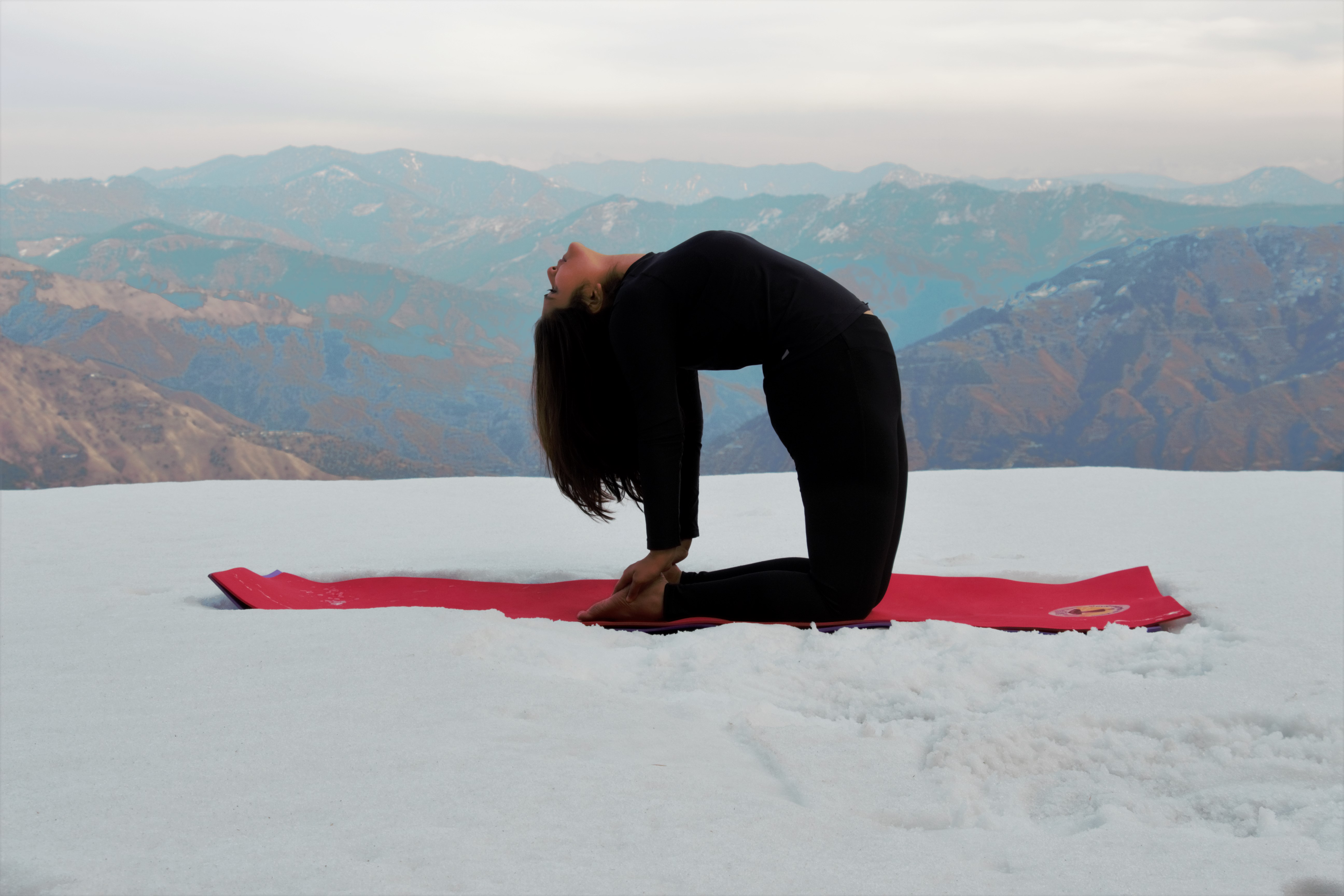 Ushtrasana | Camel Pose