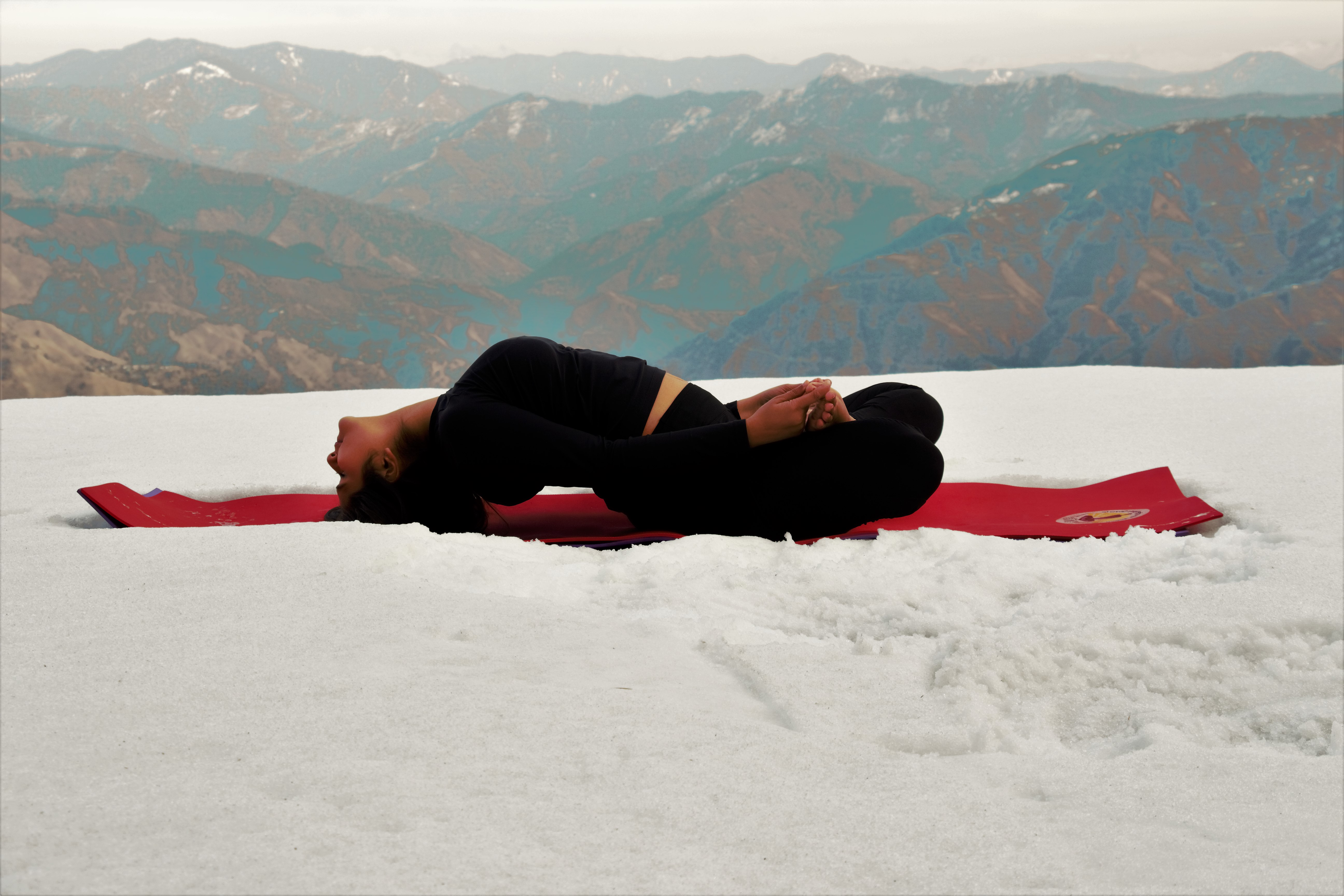 Matsyasana | Fish Pose
