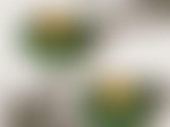 How to Create a Social Media Presence That’s Actually Fun (and Not Overwhelming)