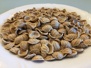 Orecchiette integrali con pesto di basilico fatto in casa, filetto di merluzzo e carote