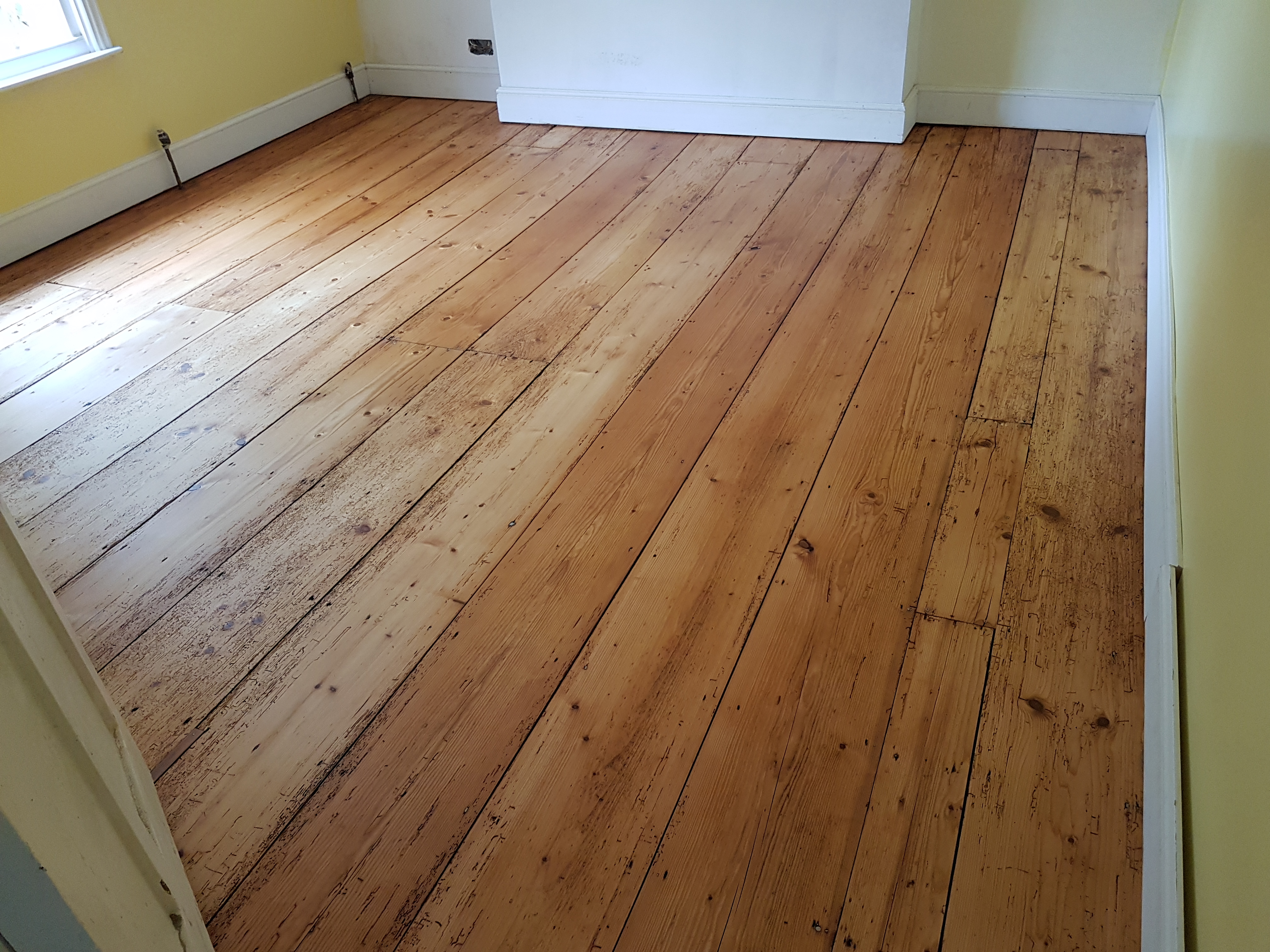 1600's Pine