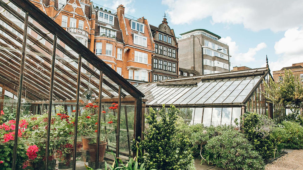 Chelsea Physic Garden