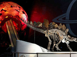 What to do in Half-Term in London?