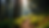 Eye-level view of a hiking trail surrounded by trees