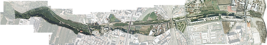 oarchia google