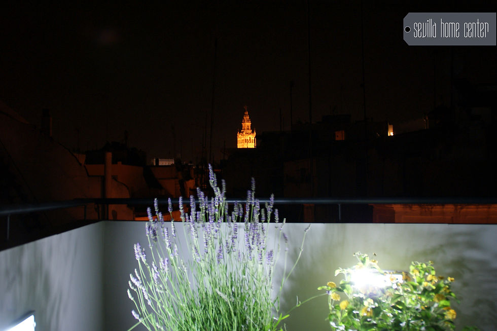 SHC Ático Night View