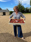 Gathering berries at a local producer's farm