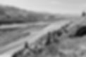 "There arealways two people in every picture: the photographer and the viewer." Ansel Adams