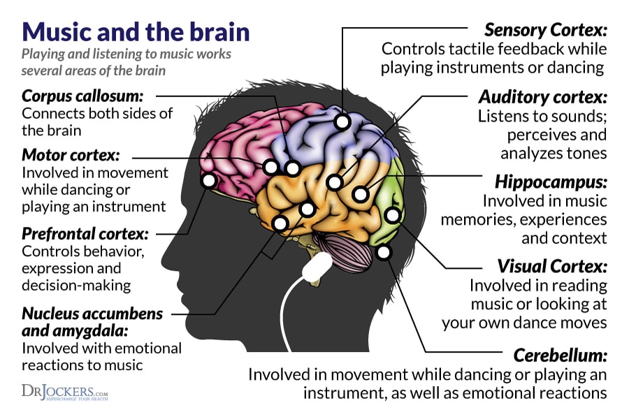 The Profound Impact of Music on the Brain!