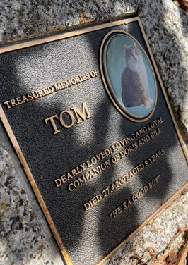 Treasured memories of TOM.jpeg