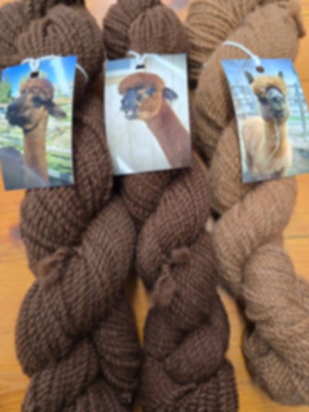 Yarn Membership
