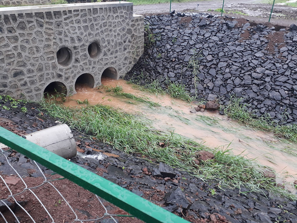 WhatsApp Image 2026-02-13 at 12.32.33 (1).jpeg