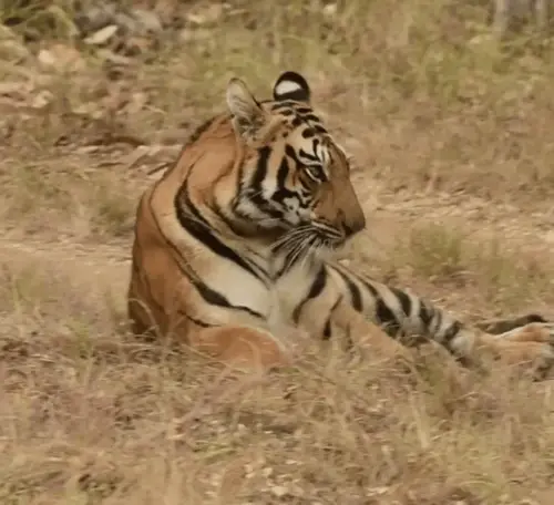 Screenshot 2025-10-05 at 1.14.37 AM (1).