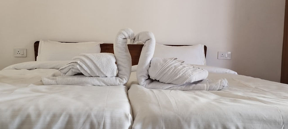 WhatsApp Image 2025-11-19 at 12.38.14 PM (2).jpeg