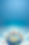 BG-EUA.png