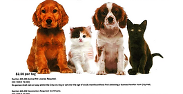 2026 Pet Tags Available