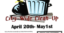 City Wide Clean Up