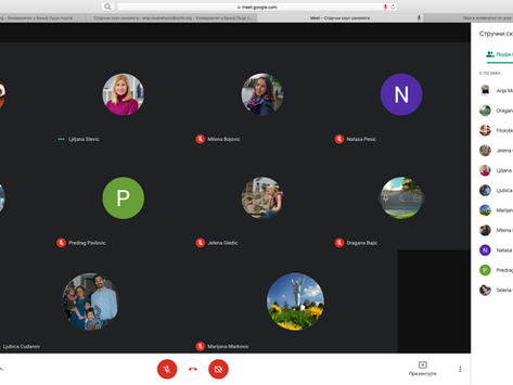 Confucius Institute Representatives on the Online Conference for Sinologists