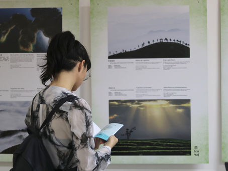 Стална поставка изложбе фотографија „Чај, љубав и свијет“ на Факултету политичких наука