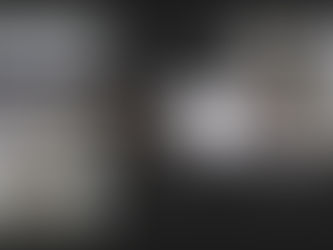 巴尼亚卢卡大学孔子学院召开视频理事会