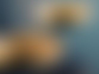 Seguro auto ou proteção veicular: qual escolher?