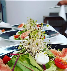 Mix de folhas cm queijo búfalo, figo, tomate cereja e brotos