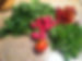 veggies.jpg