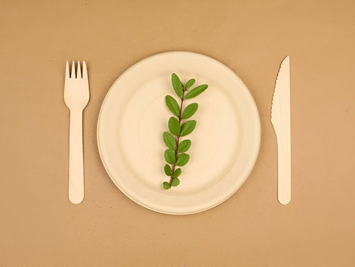 Eco-friendly disposable plate with wooden fork and knife, decorated with a fresh green leaf for a sustainable dining concept.
