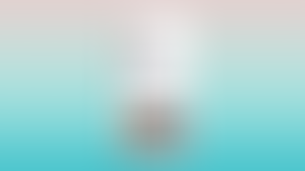 Instagram SEO: How to Make Your Content Discoverable