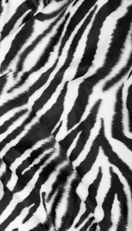 Miniaturbild: Zebra SCHWARZ-WEISS