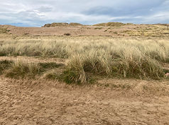 Formby sand dunes