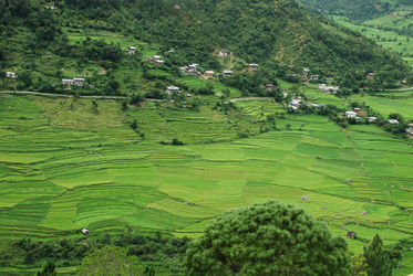 Privatrundreise Indien Bhutan