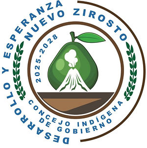 CONCEJO NUEVO ZIROSTO (1).jpeg