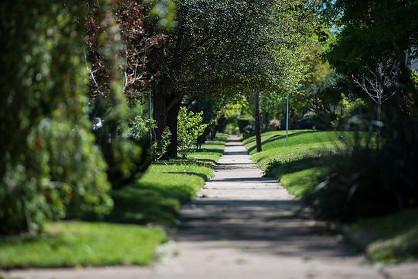A sidewalk through a neighbrohood surrounded by vibrant green yards and trees leading into the historical neighborhood of North Oak Cliff.
