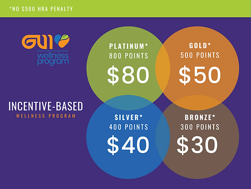GVI INCENTIVE PROGRAM (1).png