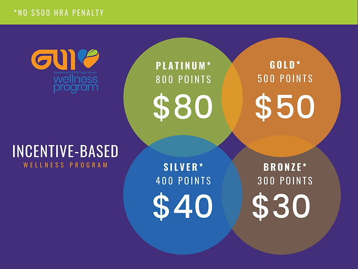 GVI INCENTIVE PROGRAM (1).png