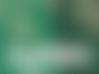 2つのコンサート