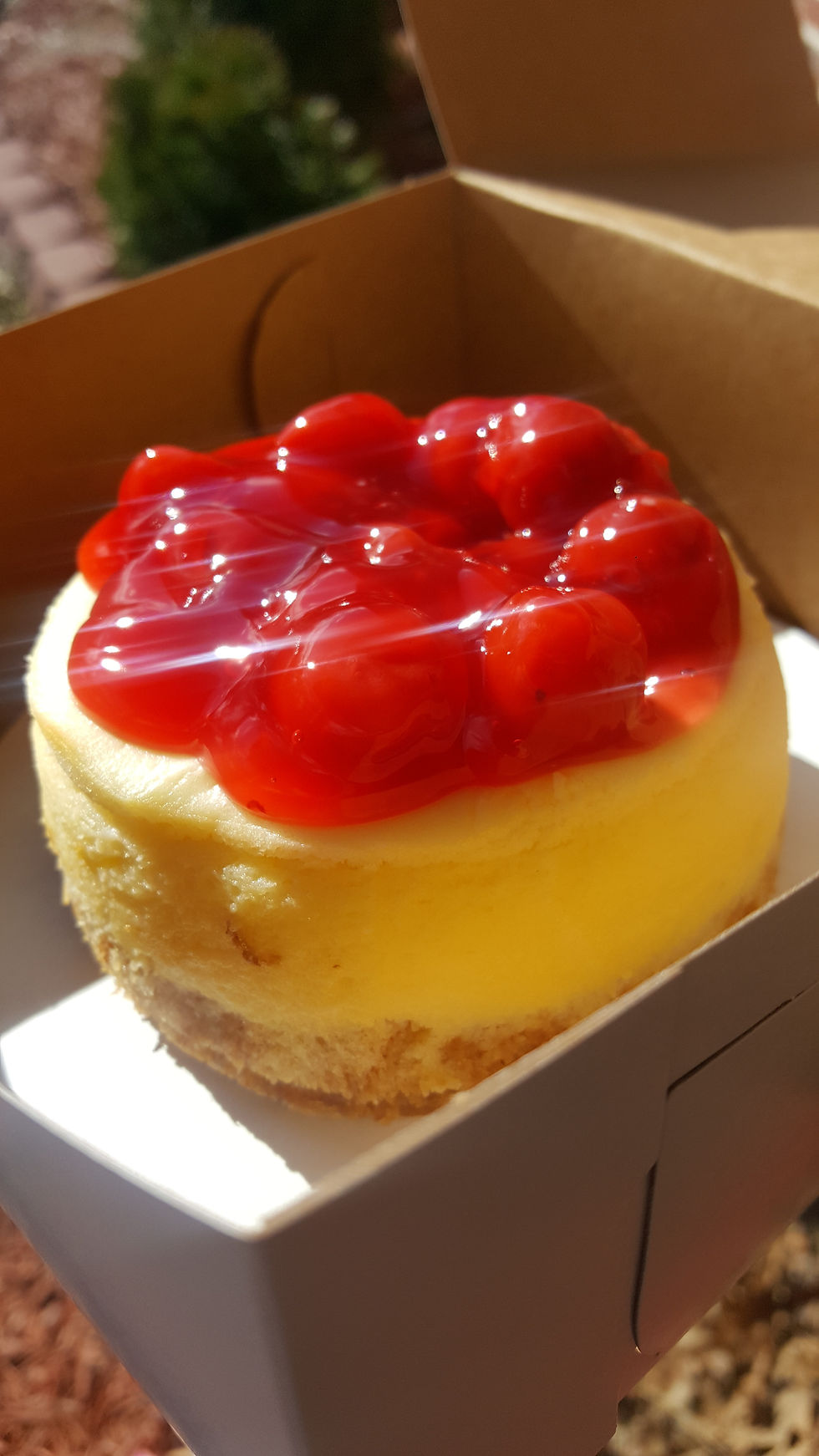 Thumbnail: Heart Shape Mini Cheesecake!