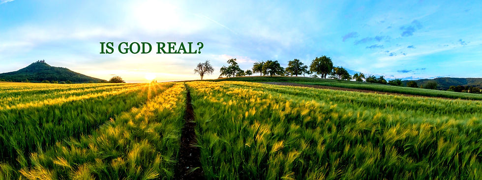 Barley%20Fields_edited